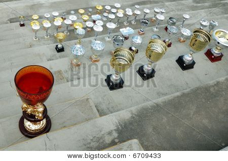 Cups