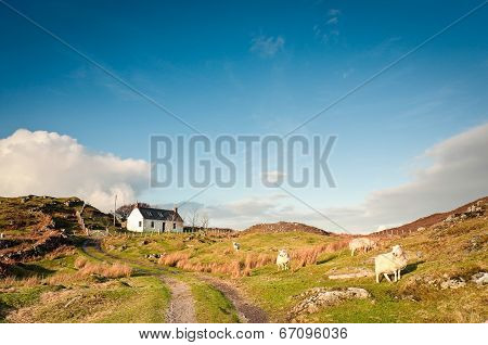 Farmland, Scotland.