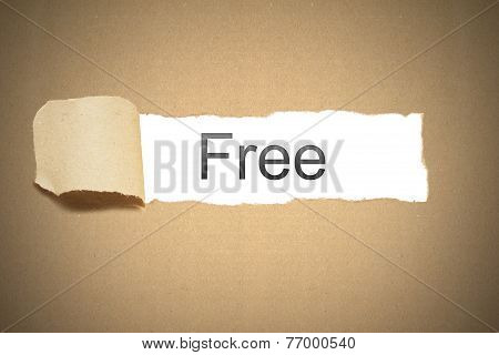 Brown Paper Carton Torn To Reveal White Space Free