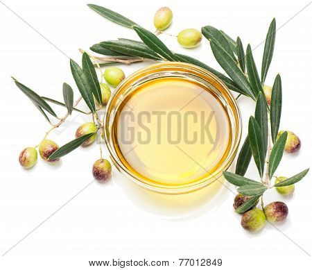 Olive Oil And Olive Fruits