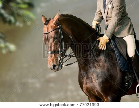 Horse riding