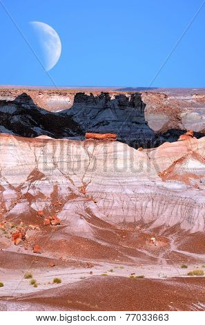 Desert Moon