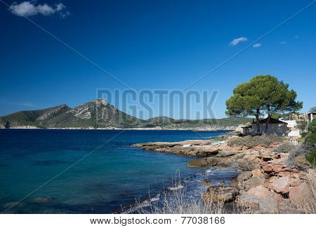 Landscape Sant Elm