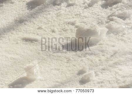 Snowpack On A Sunny Winter Day