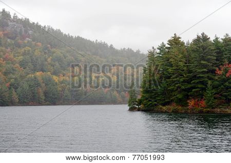 Forest Lake