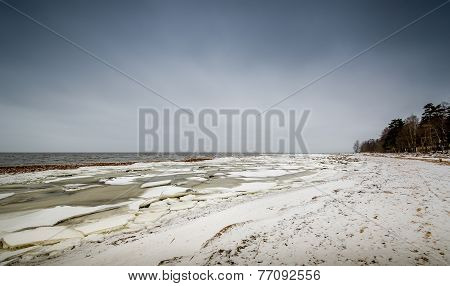 Winter shore landscape