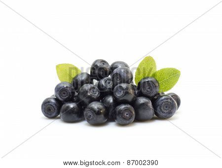 Fresh blueberries with leaves