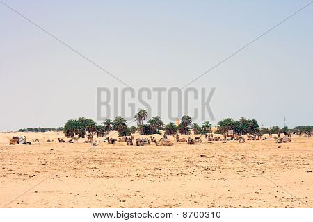 Desierto