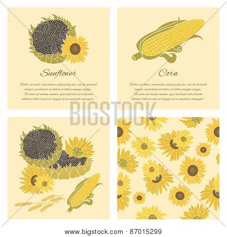 Sunflower And Corn Vector Greeting Card Set On The Bright Background
