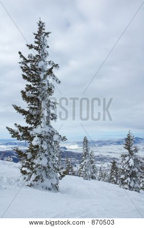 Colorado