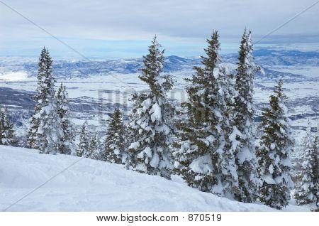 Colorado