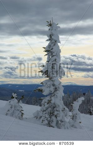 Colorado
