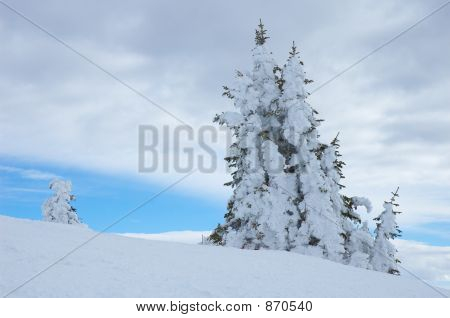 Colorado
