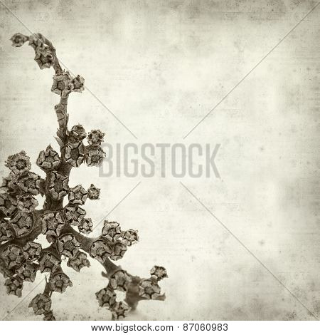 Textured Old Paper Background