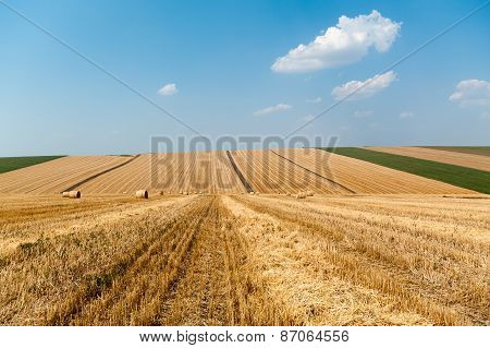 levels with bales