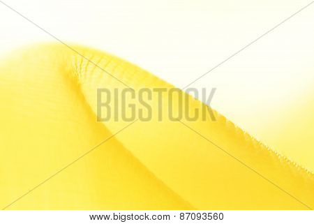 Abstract