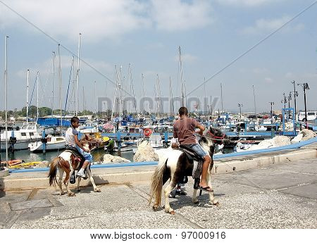Akko The Port 2008