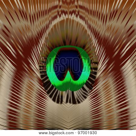 Peacock Feather Eye