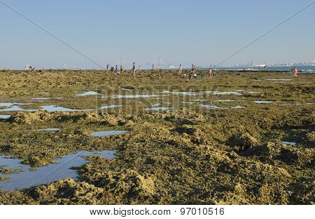 Rocky Beach
