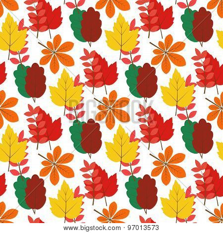 Autumn leaves