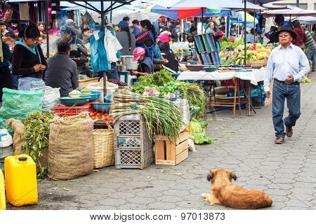Food Market Activity