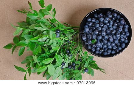 Wild Berries Of Bilberry