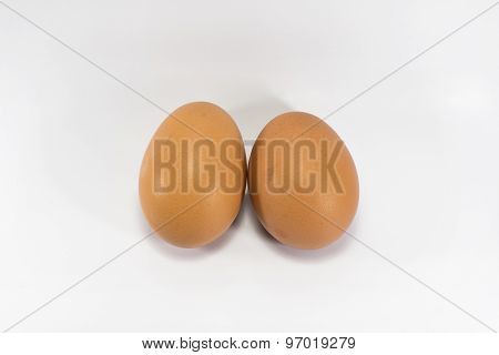 Egg Isolated