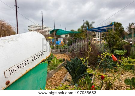 Letterbox With Text In A Garden