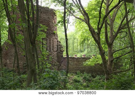 Schweinsburg Castle Ruin