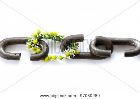 A Chain Is Only As Strong As Its Weakest Link