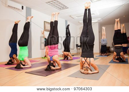 Large Yoga Group Doing A Headstand