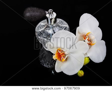 Luxurious Perfume Bottle Atomizer