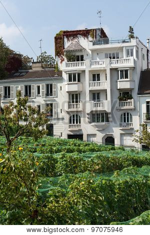 PARIS, FRANCE - SEPTEMBER 10, 2014: Paris - gardens dedicated to Auguste Renoir surround the Museum of Montmartre