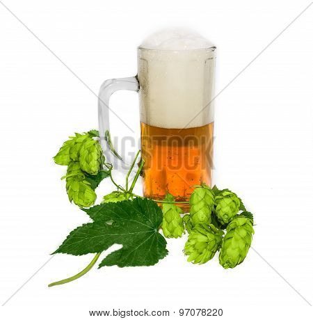Mug Of Beer And Branch Of Hops