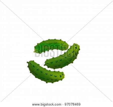 prickles illustration