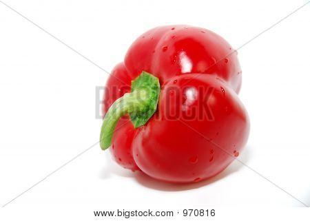 Červená paprika