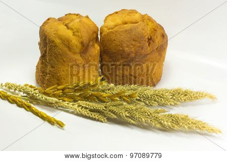 Plain Muffin Isolated On White Background