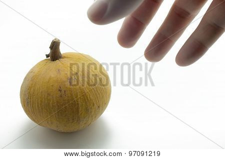 Santol fruit isolated on white background