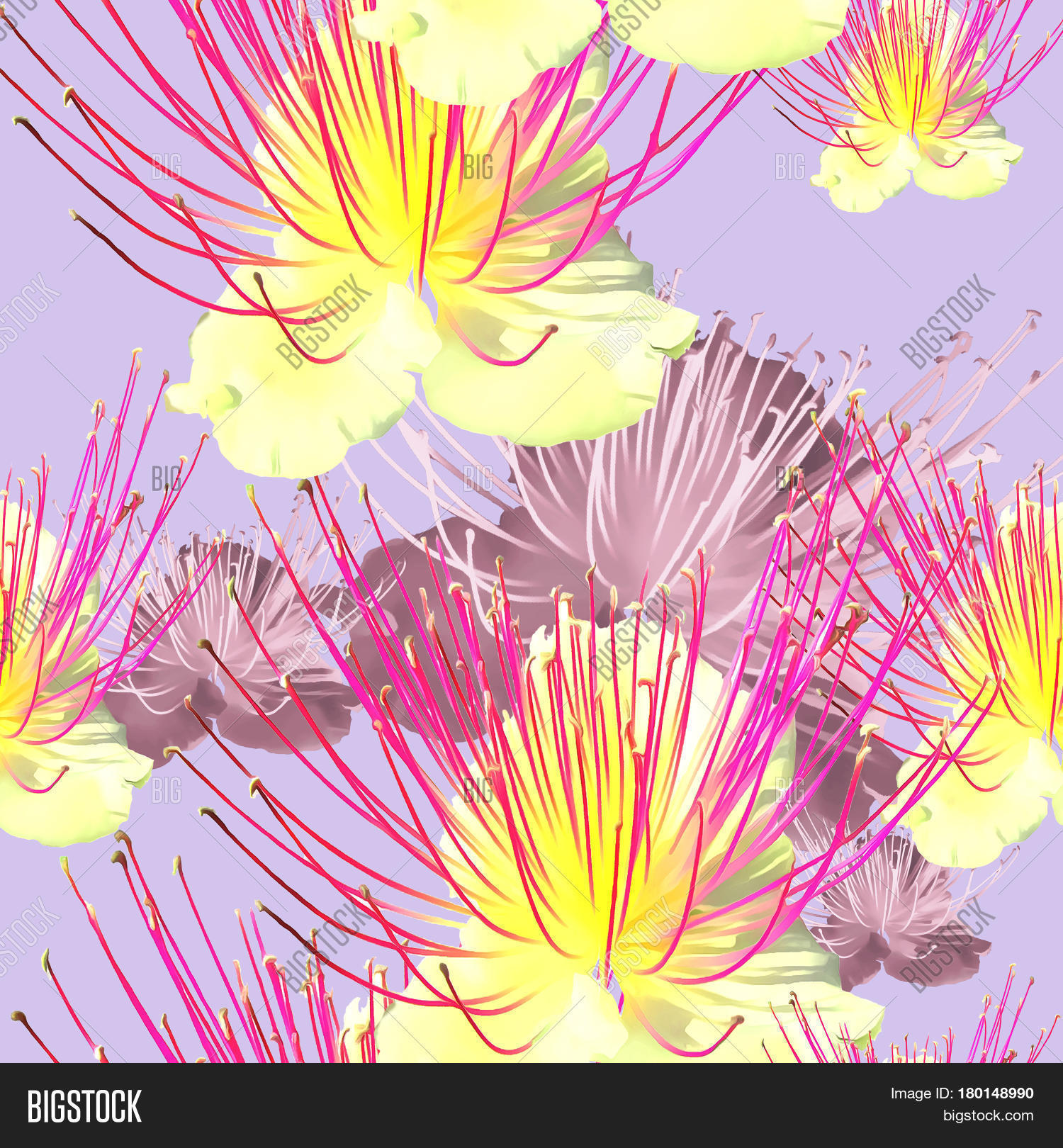 Capers. Texture Image & Photo (Free Trial) Bigstock