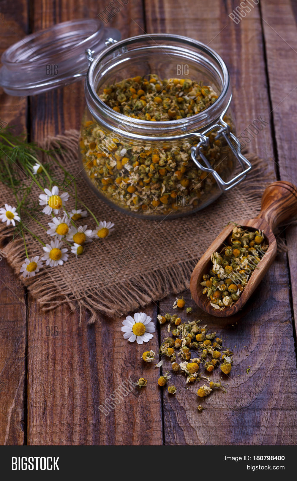 Dried Chamomile Image & Photo (Free Trial) Bigstock