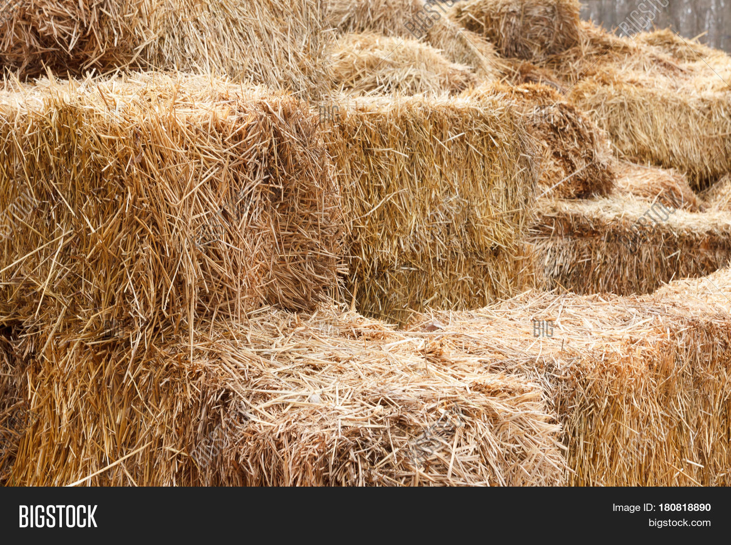 Bricks Fresh Hay On Image & Photo (Free Trial) Bigstock