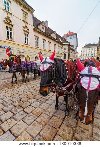 Horse Fiacre At Stephansplatz Of Vienna