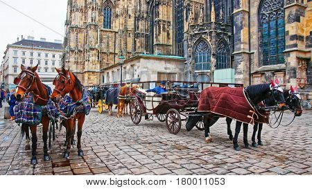 Team Of Horses And Their Coach At Stephansplatz In Vienna