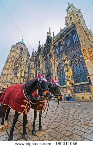Team Of Horses And Their Coach In Stephansplatz In Vienna