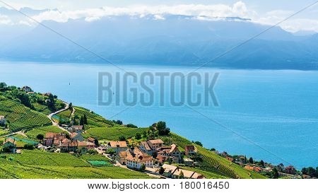 Lavaux Vineyard Terraces Lake Geneva And Swiss Mountains In Switzerland