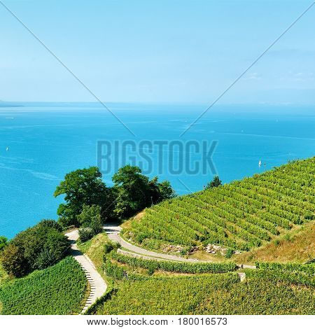 Lavaux Vineyard Terraces Route Of Switzerland