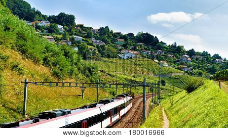 Running Train At Lavaux Vineyard Terraces Hiking Trail Of Swiss