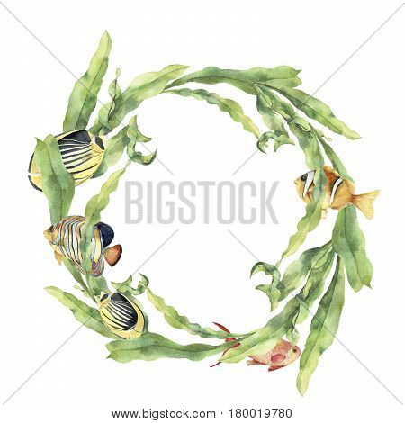 Watercolor sea wreath with laminaria and tropical fish. Hand painted underwater floral illustration with algae leaves branch and animals isolated on white background. Ocean print.