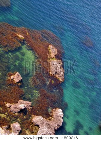 美しい海岸。西部のクリミア自治共和国。