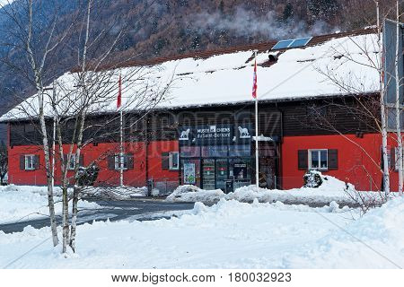 Saint Bernard Museum At Martigny